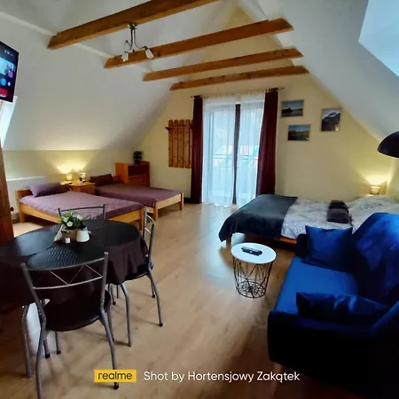 Hortensjowy Zakatek W Pieninach דירה סרומובצה ויז'נה